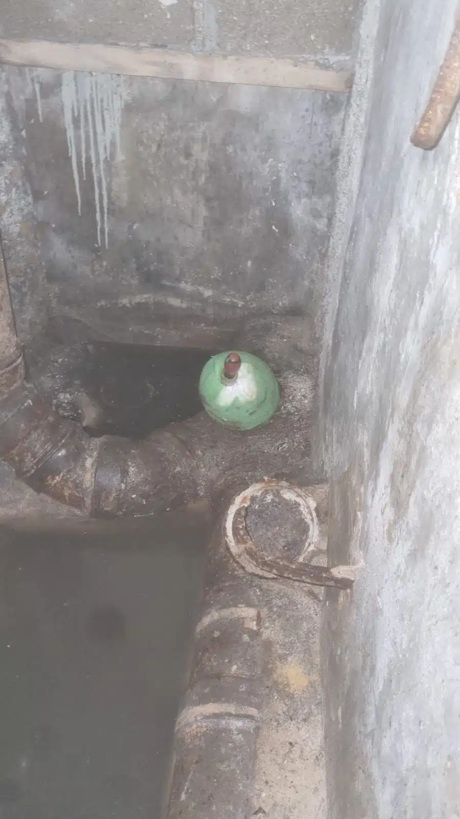 WhatsApp Image 2024-11-25 at 07.27.33