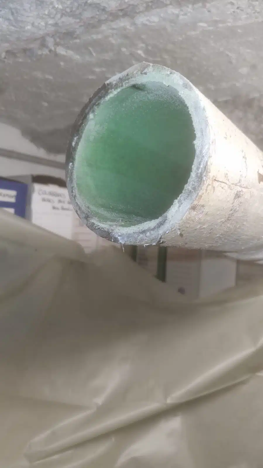 WhatsApp Image 2024-11-25 at 07.27.34